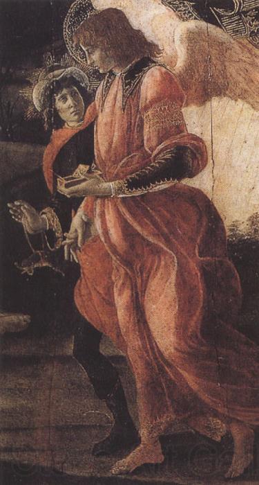 Sandro Botticelli Trinity with Mary Magdalene,St john the Baptist,Tobias  and the Angel (mk36)